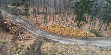 Charleston Helicopter Log Transport